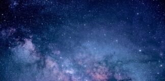 Jakie badania krwi na brak energii?