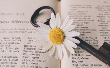 Czy tłumaczenia są zwolnione z VAT?