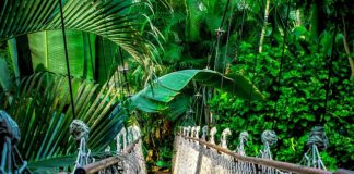 Jaki kurs testera wybrać?