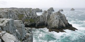 Czy celnicy mają broń?