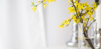 Co było przed Plusem?