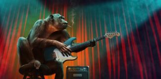 Jakie są etapy diagnozy funkcjonalnej?