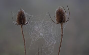 Co to jest sprawdzian uzdolnień kierunkowych? Co to jest sprawdzian uzdolnień kierunkowych?
