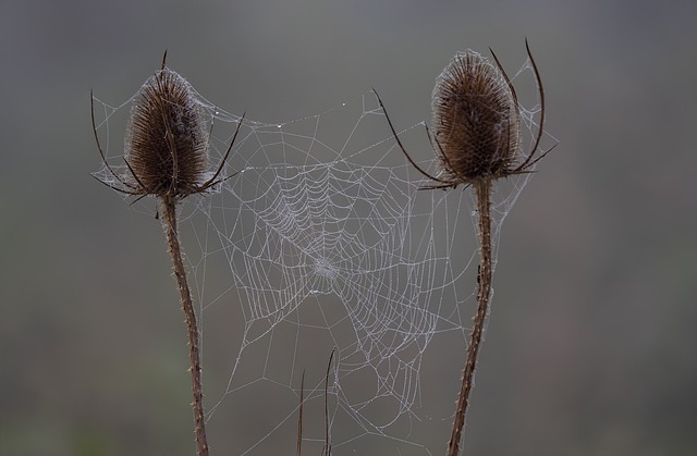 Ile czasu trwa sprawdzian kompetencji językowych? Ile czasu trwa sprawdzian kompetencji językowych?