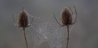 Gdzie można znaleźć sprawdziany?