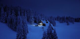 Jaki jest cel terapii grupowej?