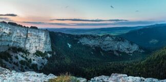 Co trzeba zrobić żeby zostać celnikiem?