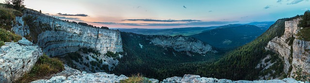Co trzeba zrobić żeby zostać celnikiem? Co trzeba zrobić żeby zostać celnikiem?