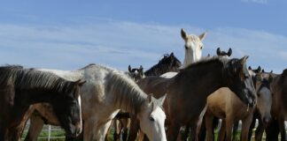 Czym różni się ERP od CRM?