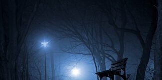 Czy plus jest Polski?