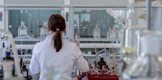 Czym się różnią testy regresji od Re testów?