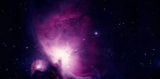 Od czego zacząć naukę testowania?