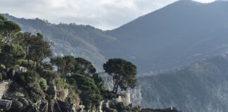 Ile kosztuje tłumaczenie jednej strony a4?