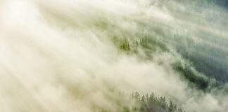 Jak obliczyć nachylenie linii trendu?