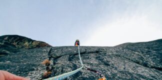 Kto może prowadzić warsztaty terapii zajęciowej?