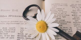 Jak zarabiać na tłumaczeniach?