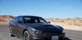 Do kogo należy TP SA?