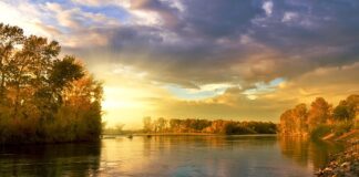 Ile trwa sezon na wiśnie?