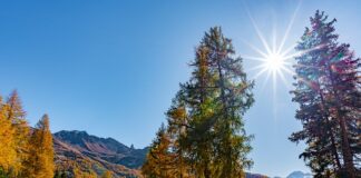 Jak zrobić masę do andrutów?