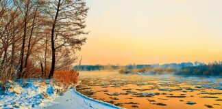 Czy Warka Radler 0.0 ma alkohol?