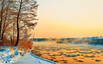 Czy Warka Radler 0.0 ma alkohol?