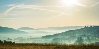 Czy woda Żywiec Zdrój jest zdrowa?