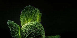 Po co dodaje się kapustę do rosołu?