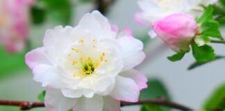 Ile jest rodzajów warzyw?