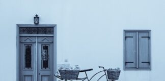 Kiedy przycinać czereśnie i wiśnie?