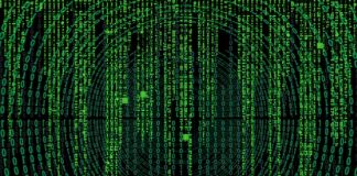 Skąd nazwa warzywa?