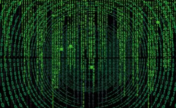 Skąd nazwa warzywa?