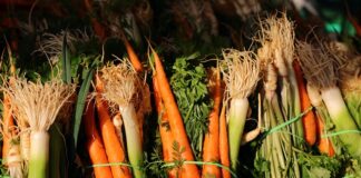 Jakie warzywa składają się na włoszczyzna?