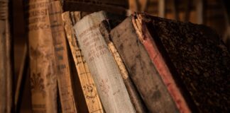 Dlaczego warto sadzić stare odmiany wiśni?