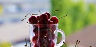 Czy zimą można przycinać czereśnie?