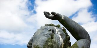 Co zjada odchody ryb w akwarium?