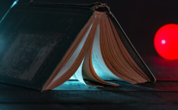 Co najlepiej włożyć do filtra kubełkowego?