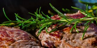 Czym jest polędwica?