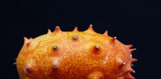 Czy ogórek to owoc czy warzywo?