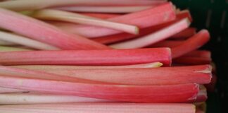 Czy ogonki z czereśni są zdrowe?