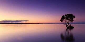 Czy wodę chlorowana można pić?